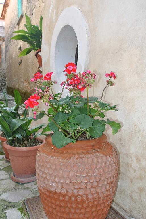 B&B Casa Antonia Trentinara Exterior photo