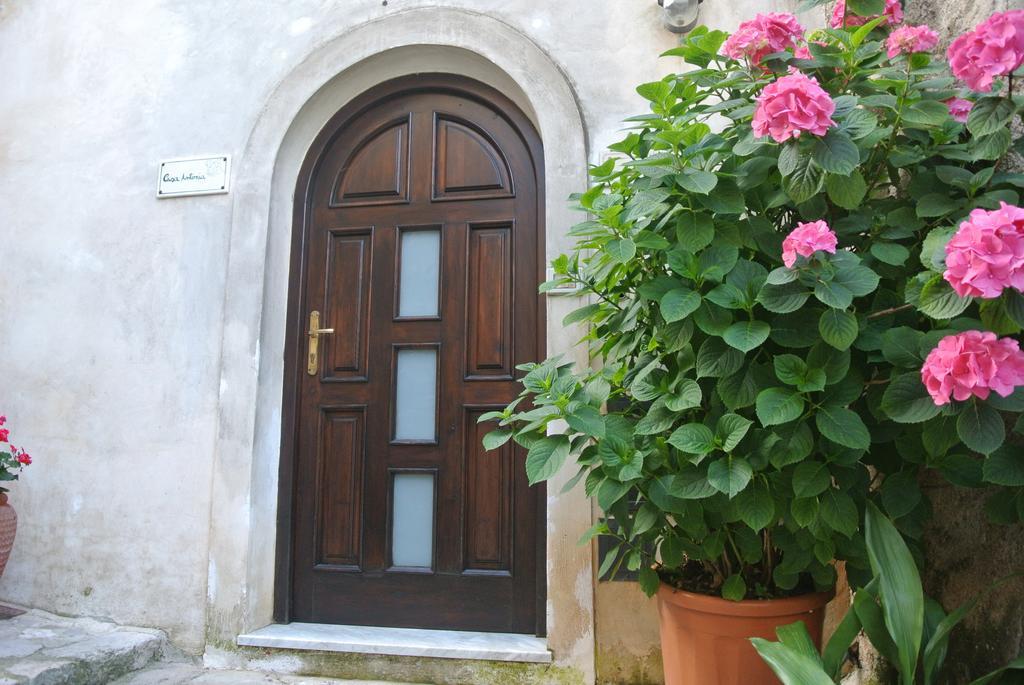 B&B Casa Antonia Trentinara Exterior photo